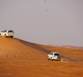 Half day desert safari companies in Qatar