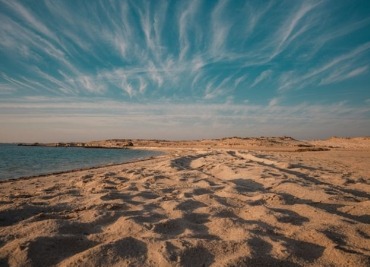 Desert Safari Adventures in Qatar