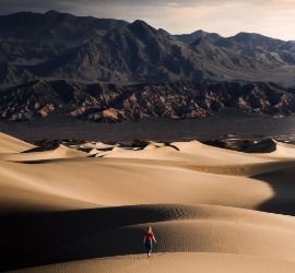 Desert adventure services in Qatar