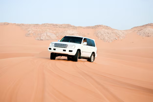 Qatar Desert Safari Adventure Guide for First-Time Visitors