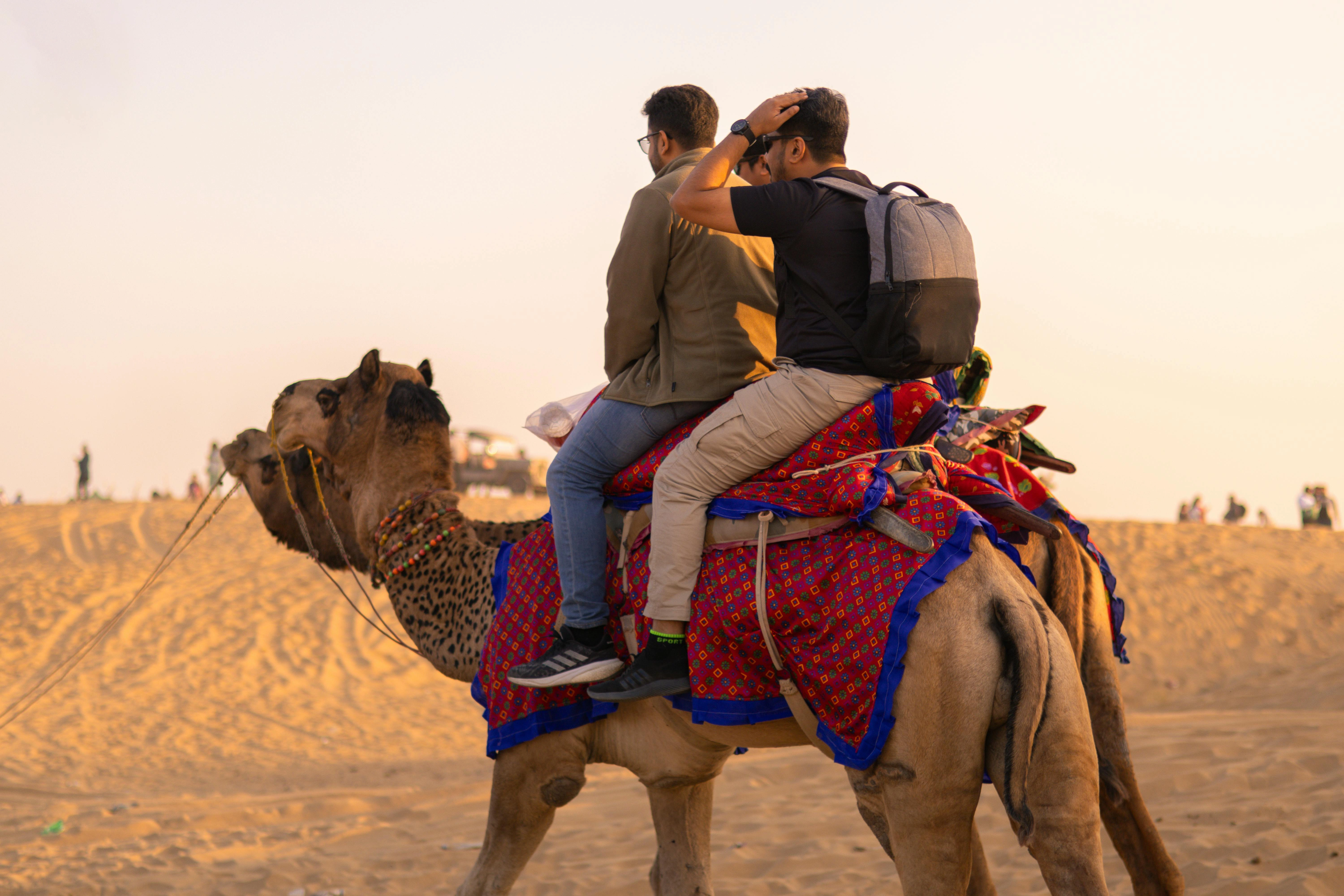 Camel Ride
